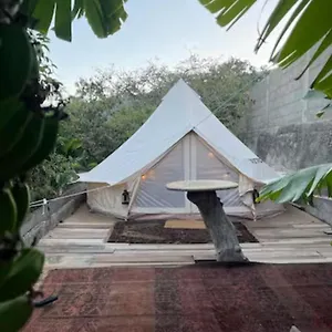  Campo de lujo Yurt In Avocado Garden España
